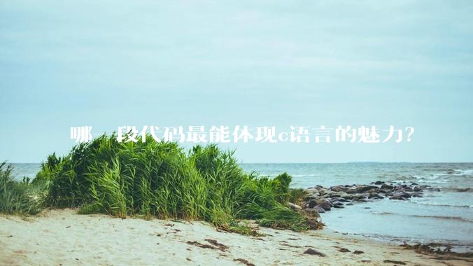 哪一段代码最能体现c语言的魅力？
